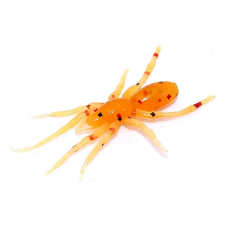Perchik_Tiny_Spider_1.1in_12pcs_col_40_WoodMart_X3_REAL_HD