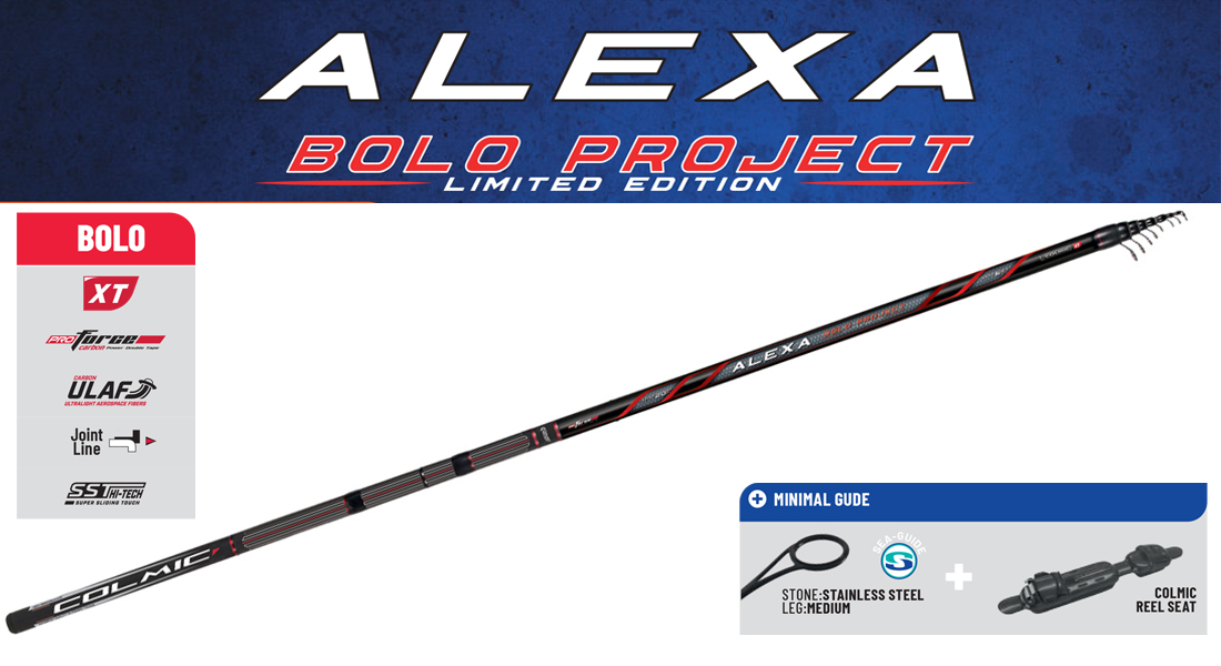 alexa-bolo-45086