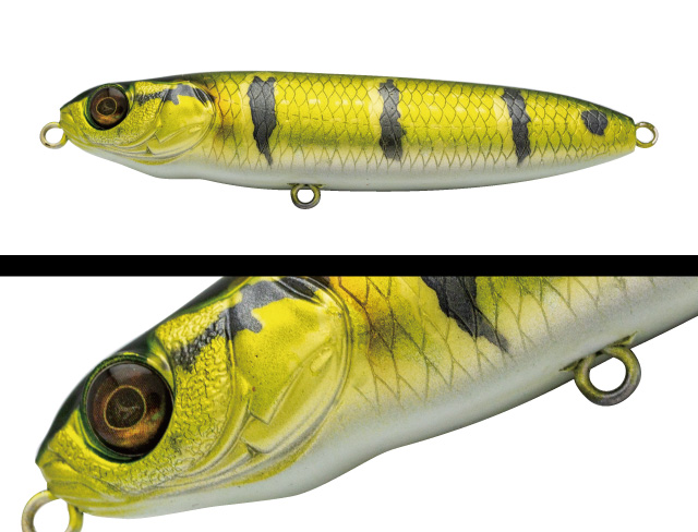 apen-034-peacock-bass-33818