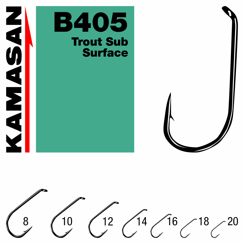 b405-31810