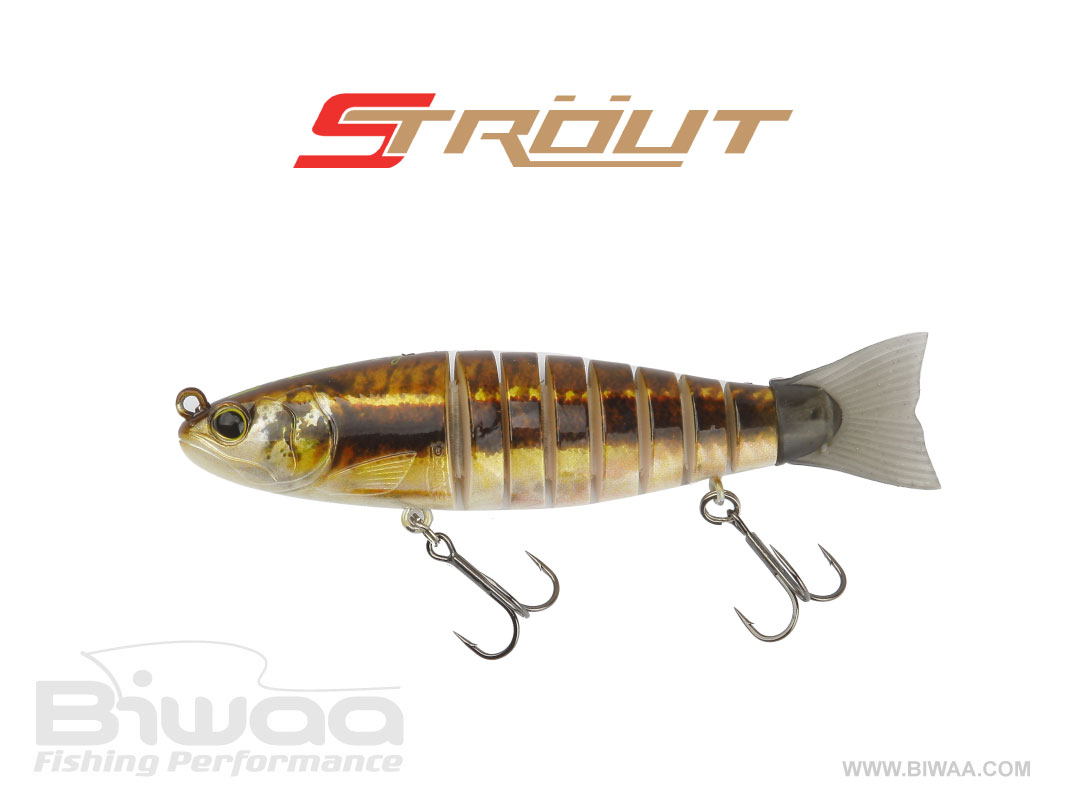 biwaa-strout-vairon-color-28-25808