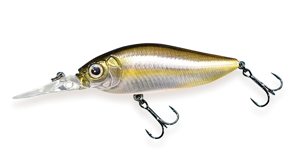 color-chart-005-diving-flapslap-fa-striped-shiner-56890