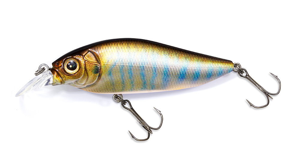 color-chart-006-flap-slap-lightning-shad-56858