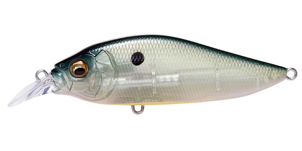 color-chart-010-flap-slap-lbo-pm-ghost-chart-shad-56846