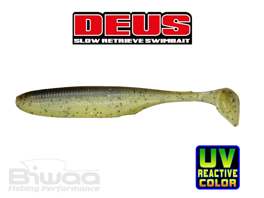 deus-204-kiwi-38131