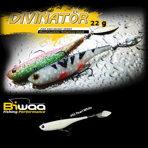 divinator-02-16571