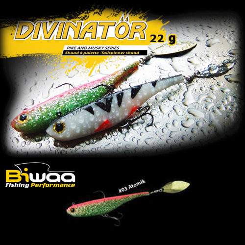 divinator-03-16572