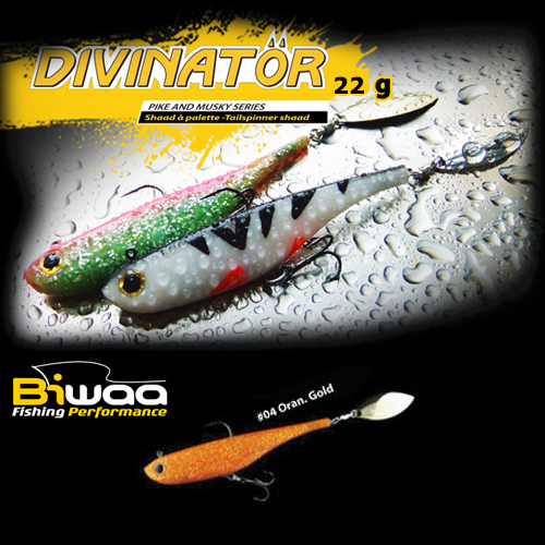 divinator-04-16573
