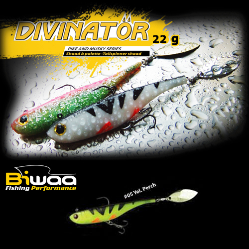 divinator-05-16618