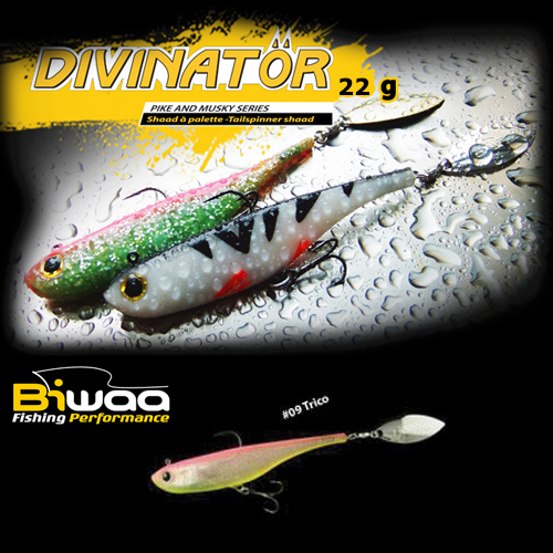 divinator-09-16622