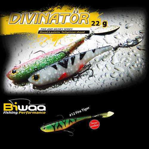divinator-12-16623