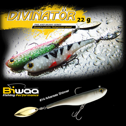 divinator-14-16625