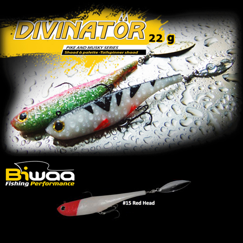 divinator-15-16626