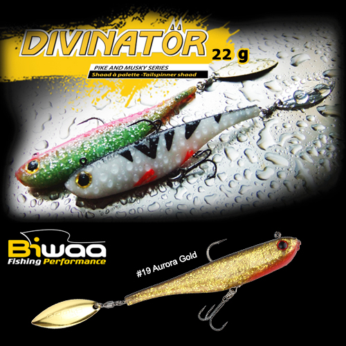 divinator-19-16588