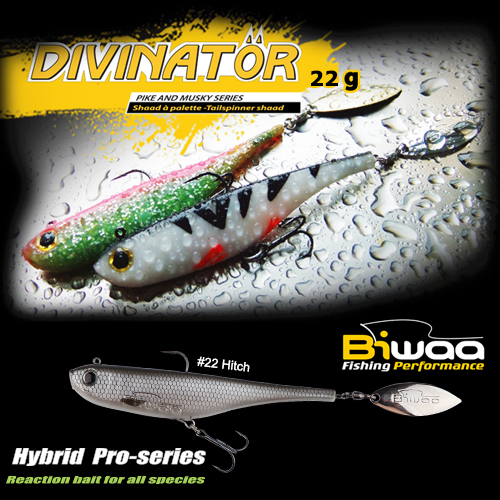 divinator-22-16591