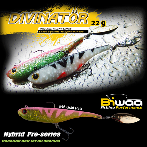 divinator-46-16600