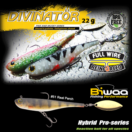 divinator-51-real-perch-16639