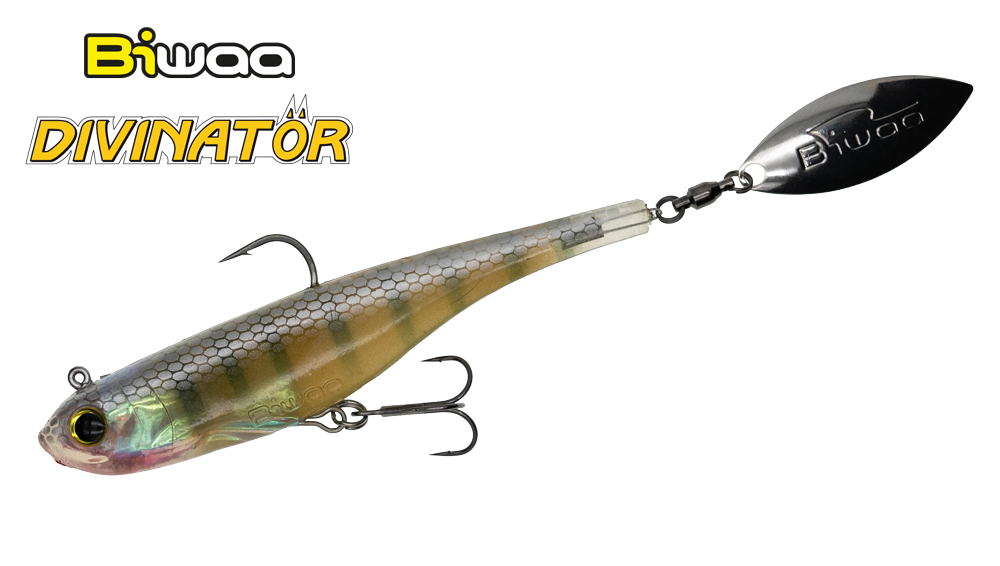 divinator-74-ghost-gill-22820