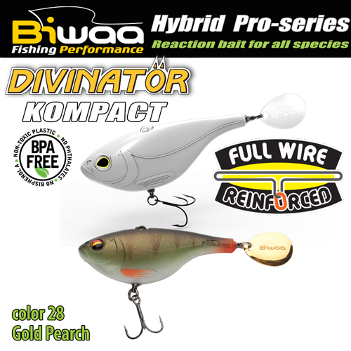 divinator-compact-28-gold-pearch-18705