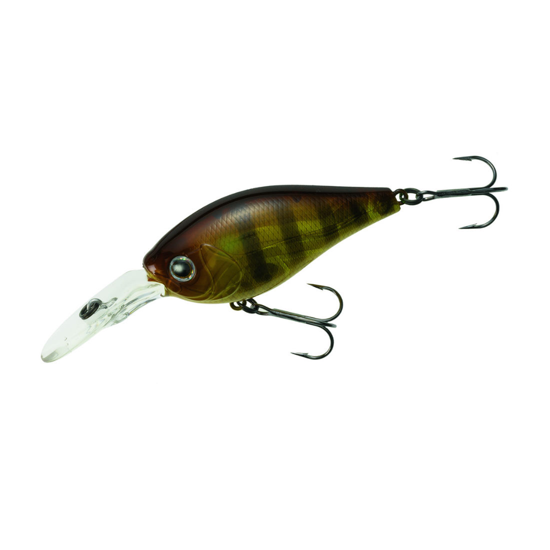 fat-pepper-3-248-44726