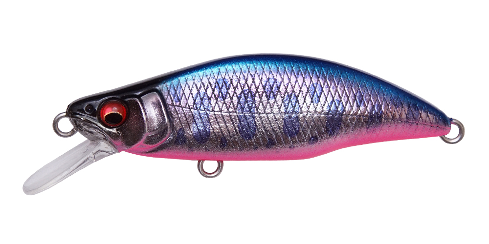 gh46-humpback-m-blupin-stream-55673