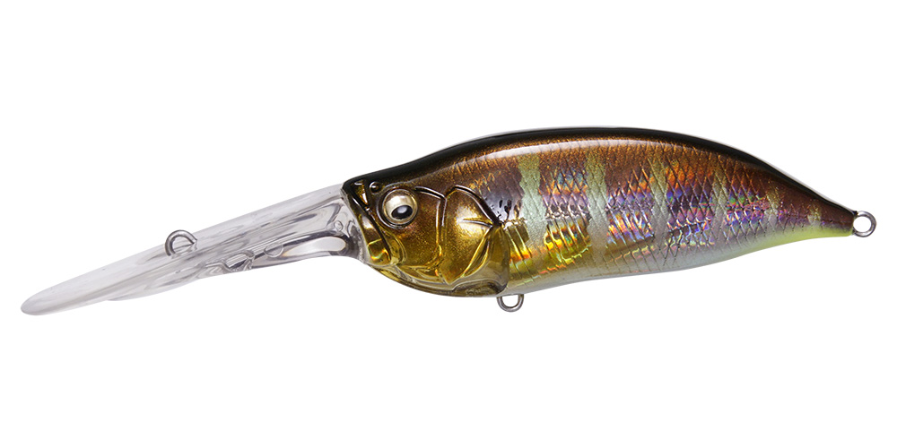 ixi-shad-tx-gg-gill-55858