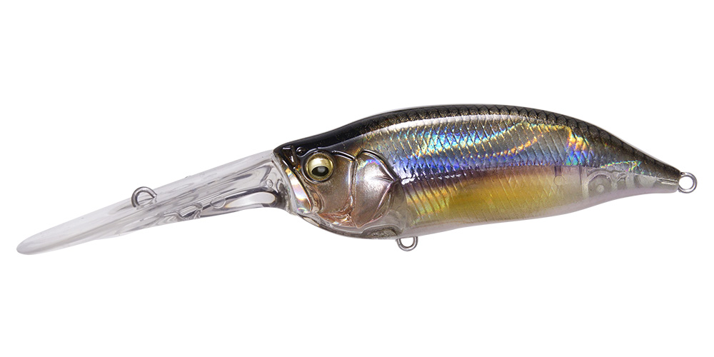 ixi-shad-tx-kasumi-ito-55870