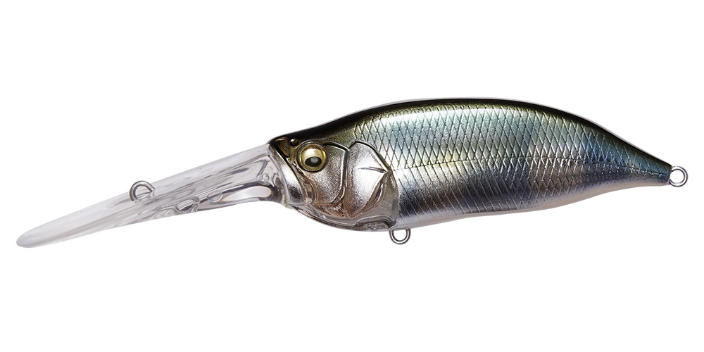 ixi-shad-tx-wagin-hasu-55852