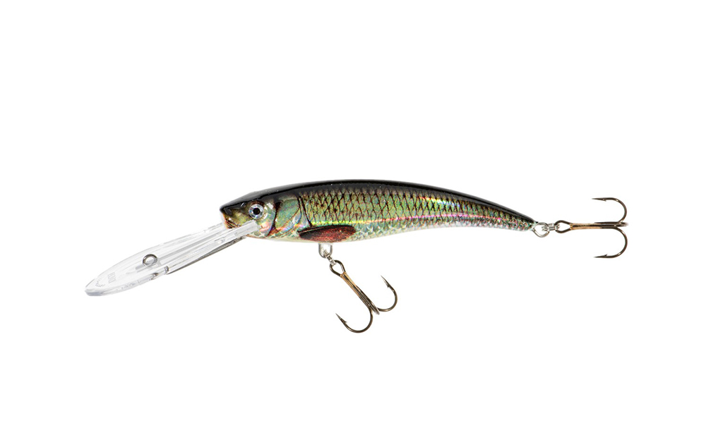 jx-diver-h-53626