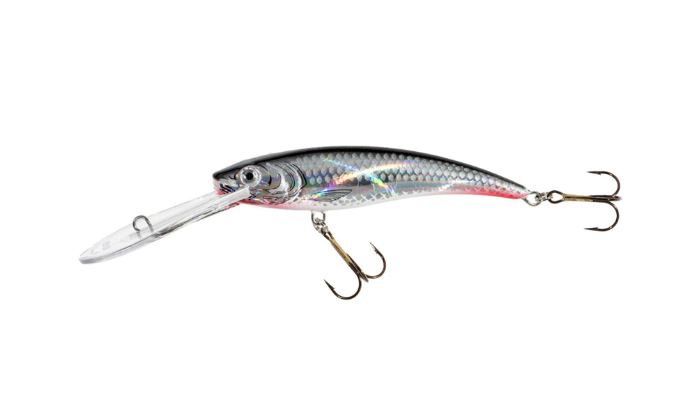 jx-diver-sc-53630