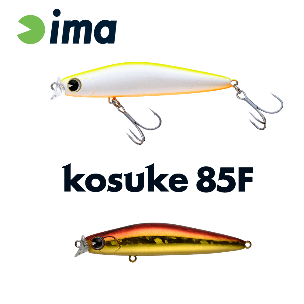 kk85-019-48403
