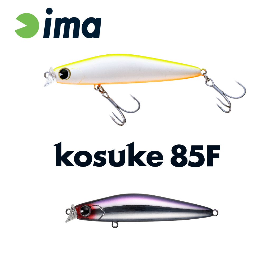 kk85-020-48404