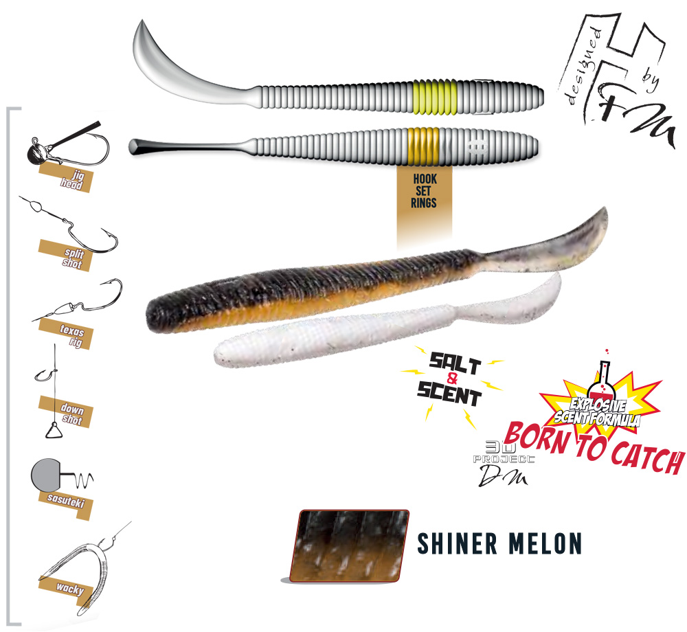 leftail-worm-shiner-melon-45573
