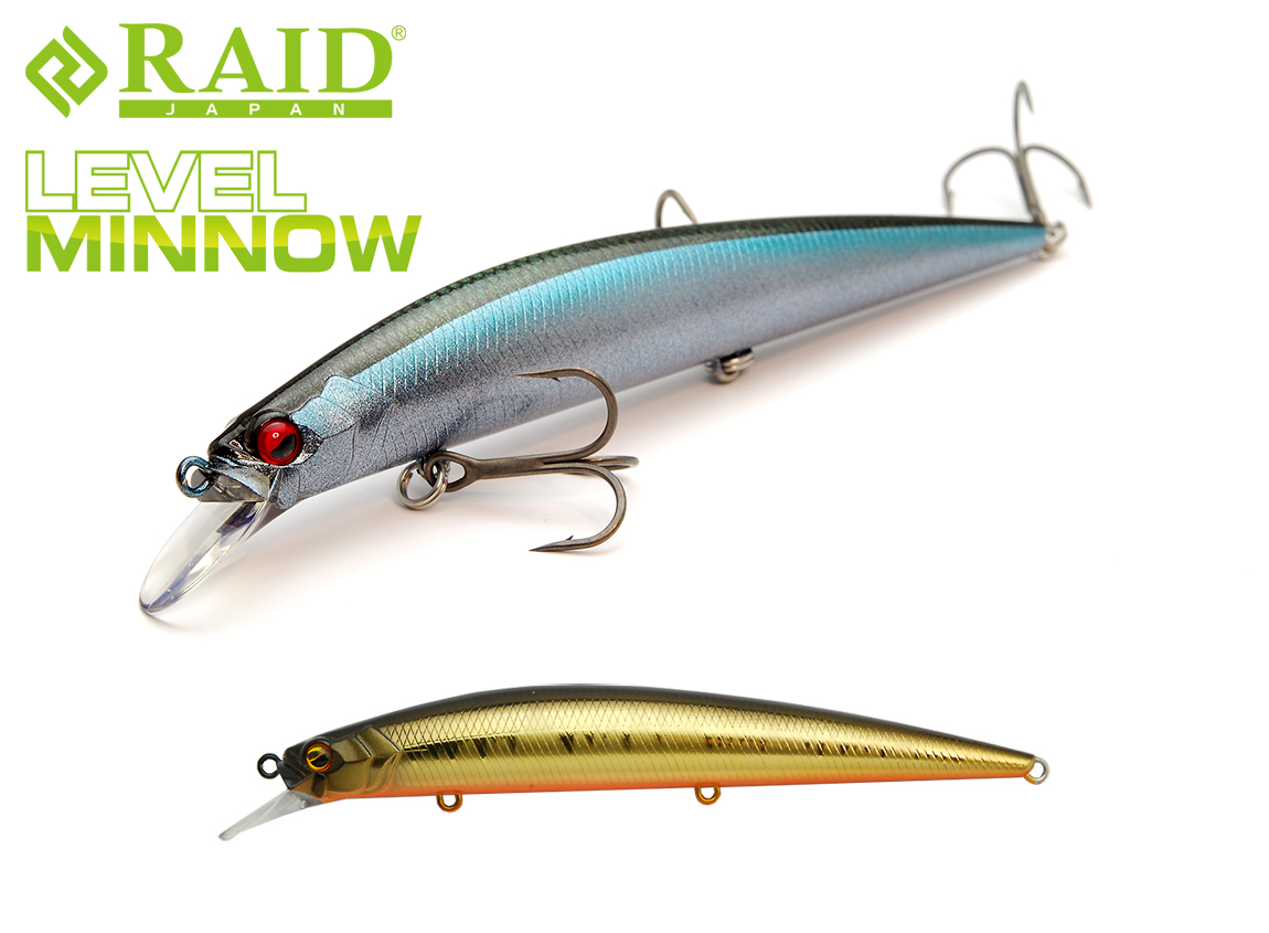 level-minnow-004-50131