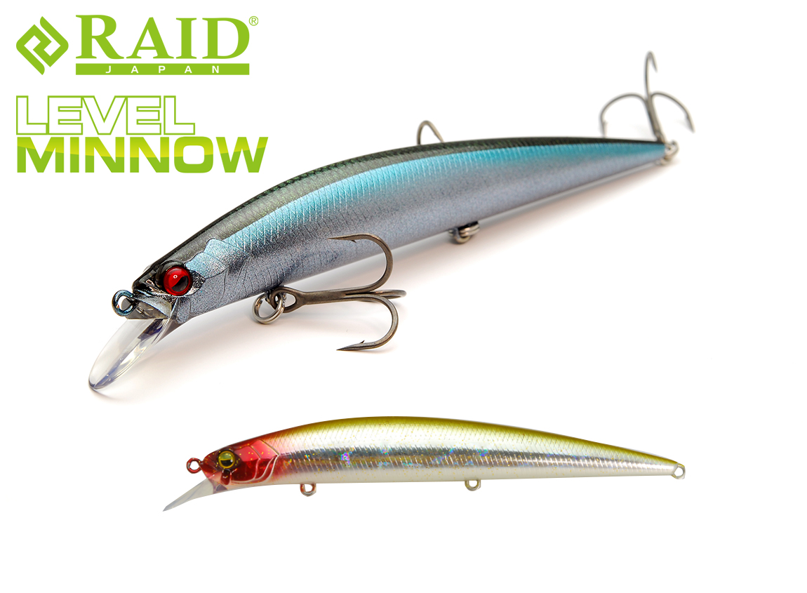level-minnow-011-50136