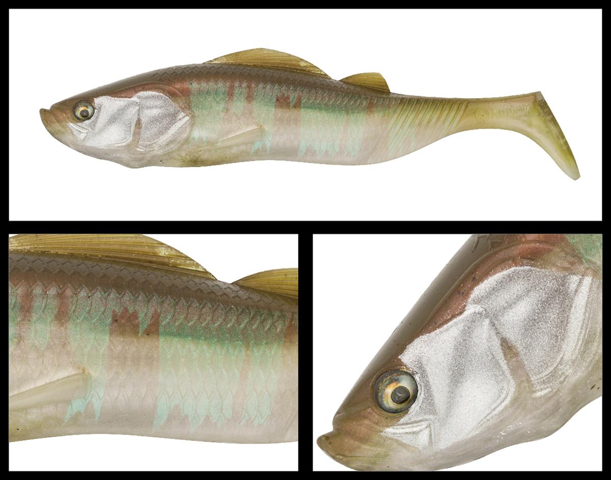pts206-oikawa-33732
