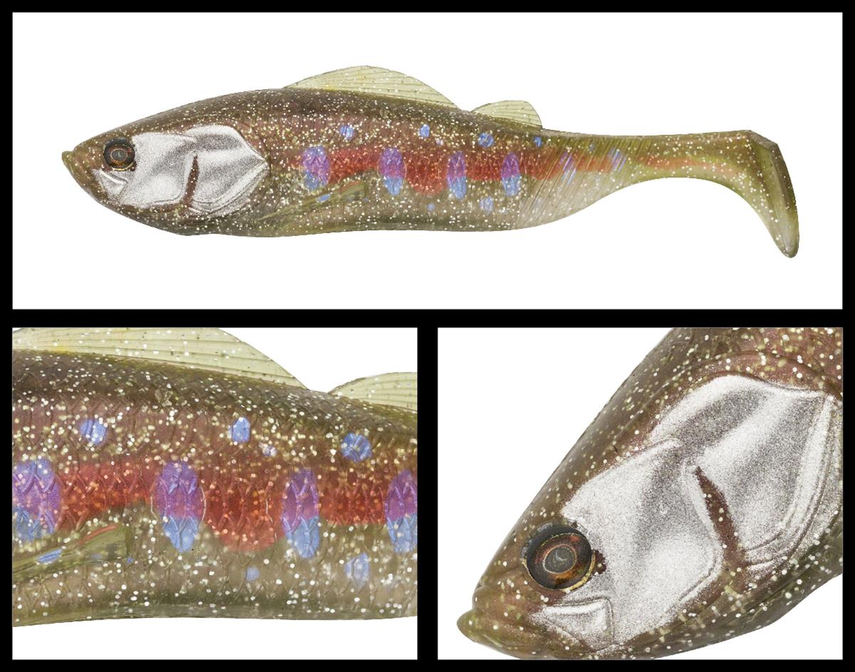 pts211-babytrout-33783