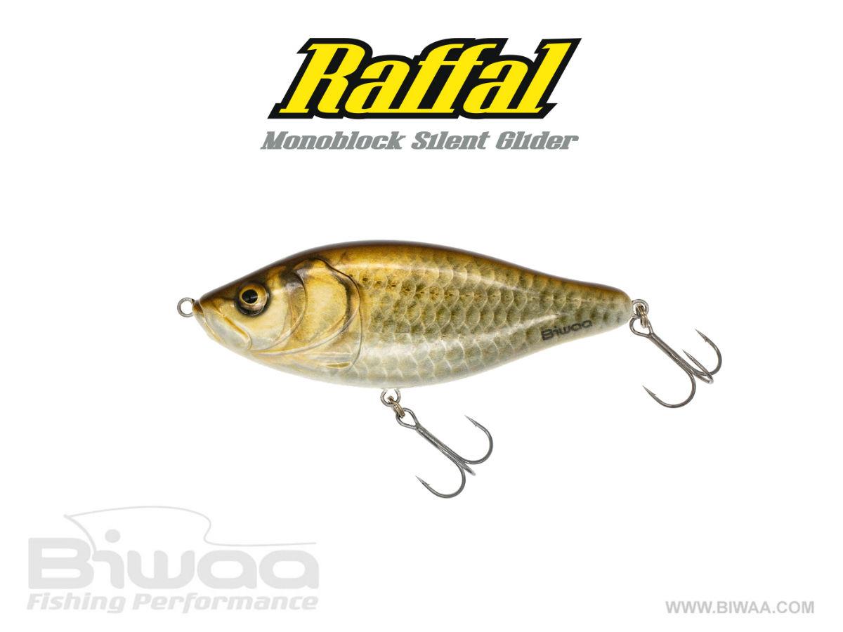raffal-12-carassin-1-17526