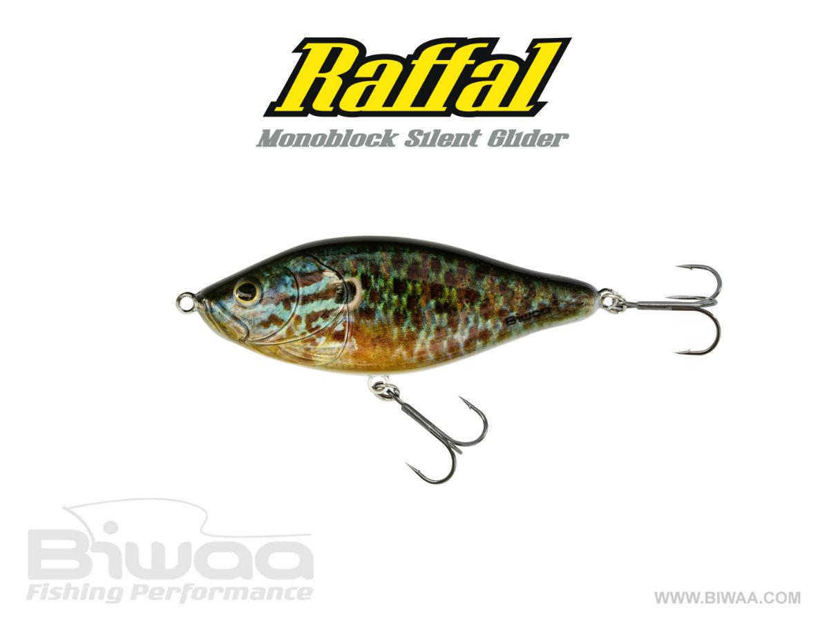 raffal-15-sunfish-17567