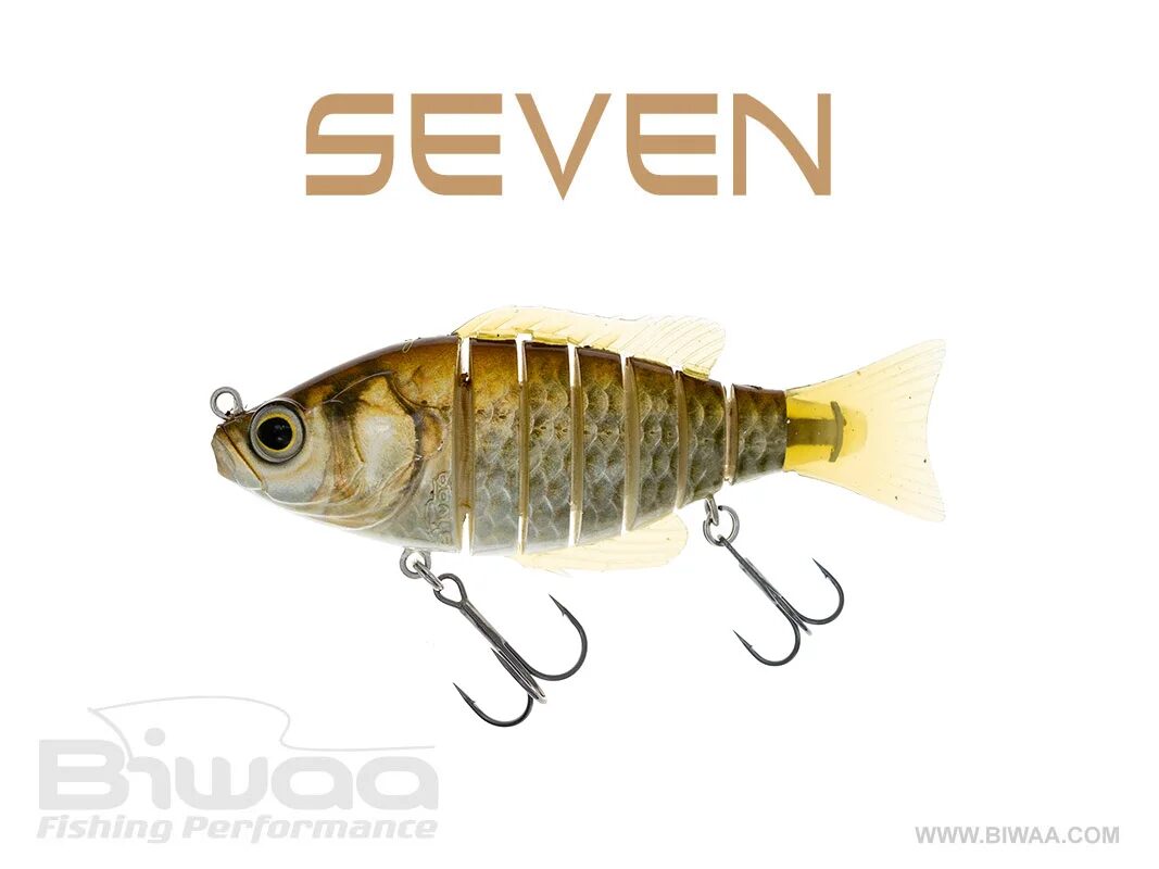 seven-5-12-carrassin-02-33204