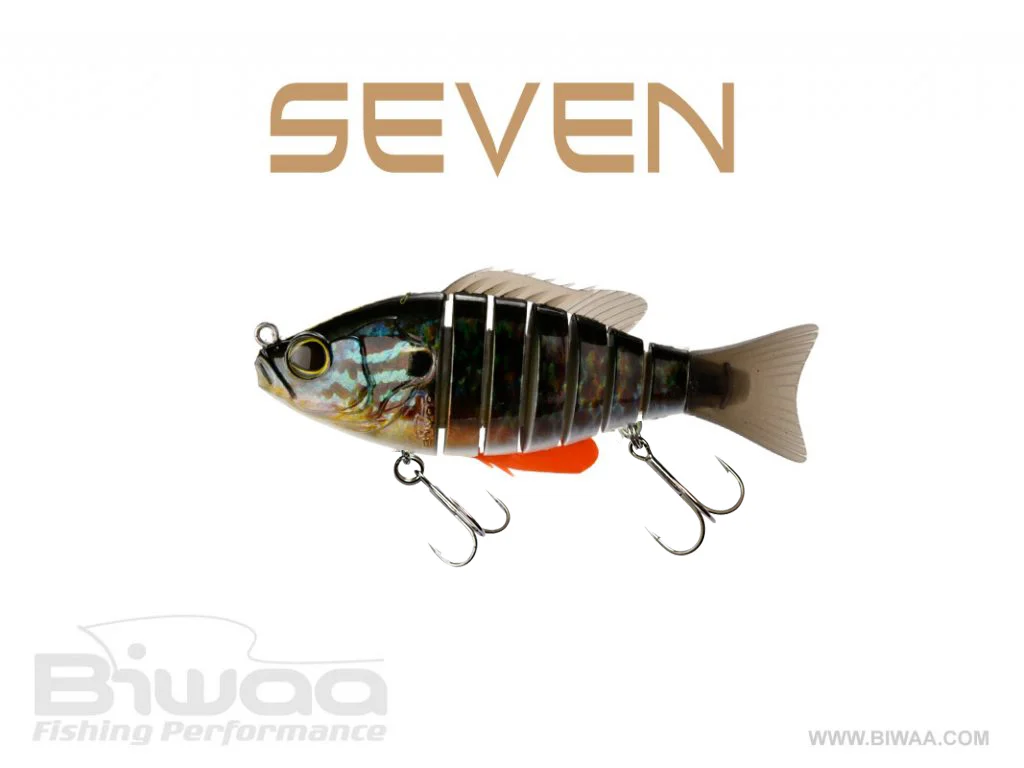 seven-color-15-sunfish-2-33100
