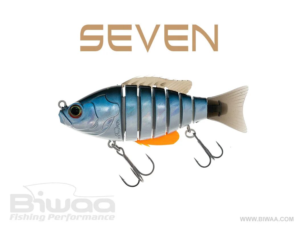 seven5-color-13-gardon-lazer-2-33148