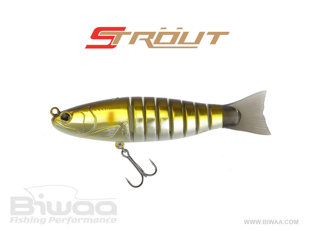 strout-3-5-26-01-16783