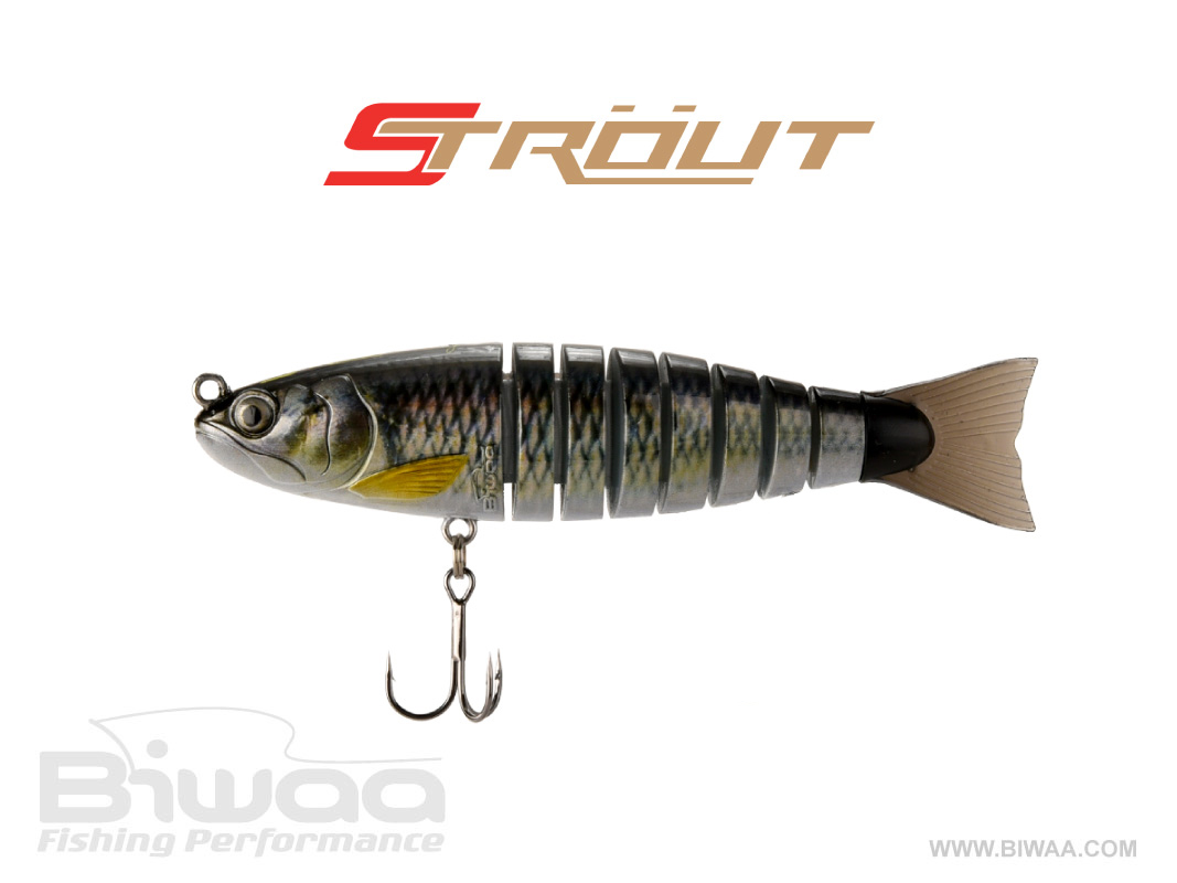 strout-3-5-col-15-1-16786