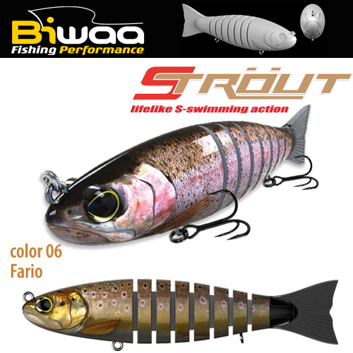 strout-culoare-06-fario-16803