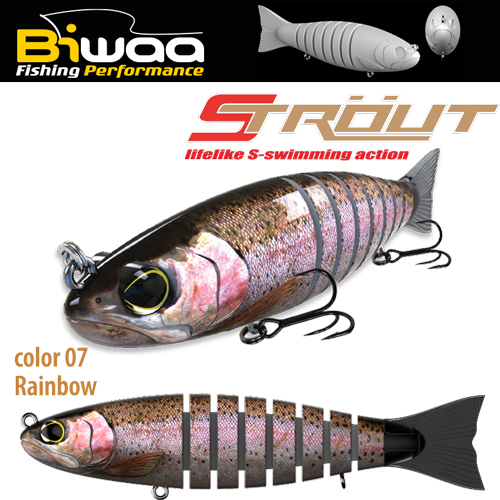 strout-culoare-07-16804