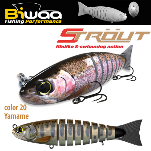 strout-culoare-20-16798