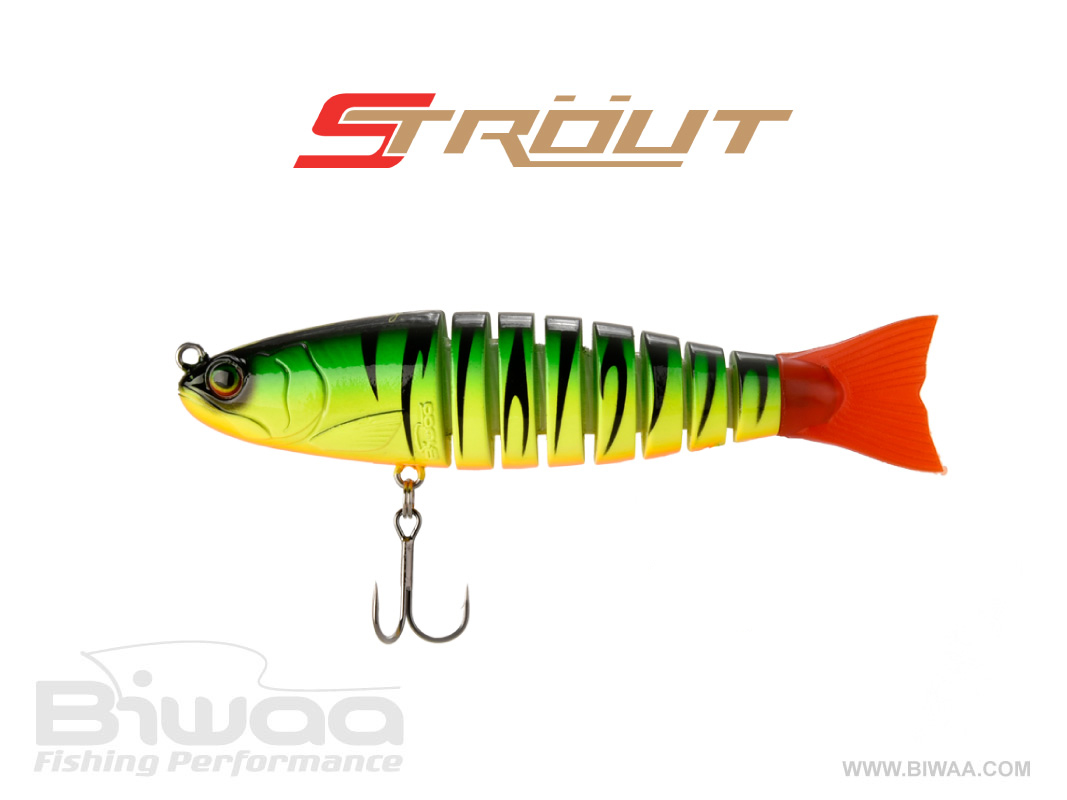 strout3-5-04-16780