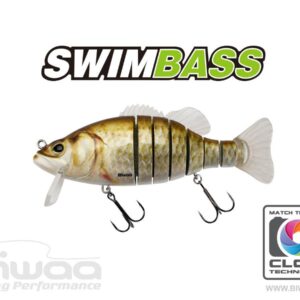 Воблер Biwaa Swimbass 6" Slow Sink 15cm 65gr 12 Carassin