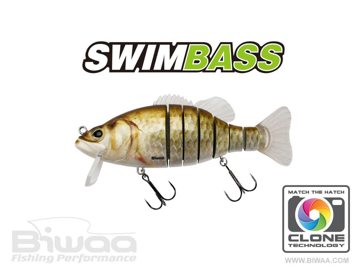 swimbass-12-carassin-24779